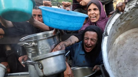 Amnesty International:Israël mène une «campagne de famine délibérée » à Gaza 
