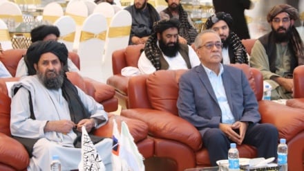 استخراج ذخایر گاز «طوطی میدان» آغاز شد