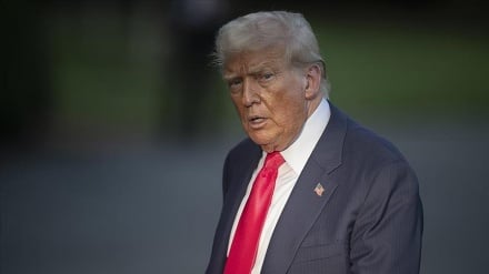 Kremlin’den Trump’a Yanıt: Rusya Bir Ayıdır, Kâğıttan Kaplan Değil