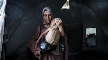 Газа: Крошечный клочок земли, величайший урок патриотизма