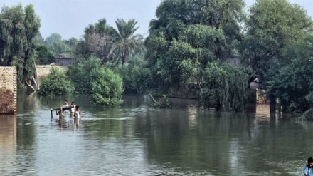 پاکستان کښې د سختو بارانونو او سیلابونو له کبله ۸۱۹ کسان وژل شوي