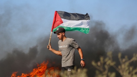 آیا این بار جهان اراده‌ای برای تحقق تشکیل کشور فلسطین دارد؟