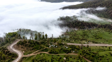 Hutan Golestan, Destinasi Wisata Populer di Musim Panas