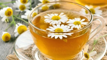 بابونه؛ د ایران په دودیزه درملنه کې ډېر کارېدونکی بوټی