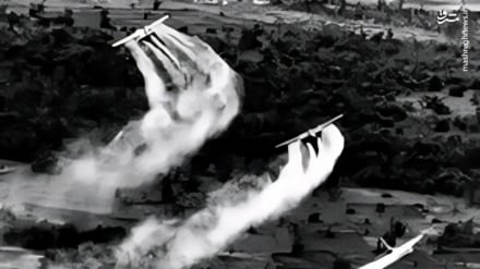 Revisiting western crimes | U.S. biological atrocities in East Asia