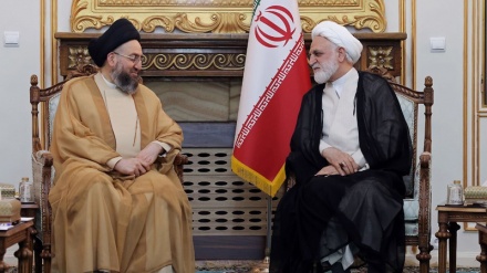 اخبار | محسنی اژه‌ای: ایران هرگز تسلیم نظام سلطه نمی‌شود؛ اجتماع بزرگ میلاد النبی (ص) در پاکستان