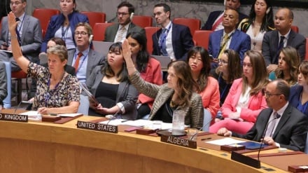 Opposition to resolution extending Iran sanctions suspension: Why the West seeks to increase pressure on Tehran