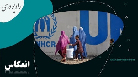 تعطیلی هشت مرکز ملل متحد در افغانستان به دلیل ممنوعیت کار زنان  