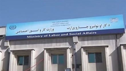 وزارت کار طالبان: در چهار سال گذشته ۳۵۰ هزار جواز کار توزیع شده است