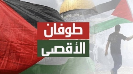 Siyonist Analist: El-Aksa Fırtınası, Filistin Lehine Küresel Politik Bir Dalga Haline Geldi