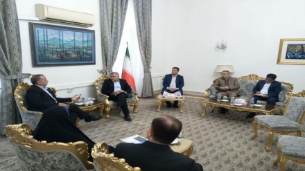 استاندار خراسان جنوبی بر توسعه همکاری‌های مرزی و اقتصادی با افغانستان تأکید کرد
