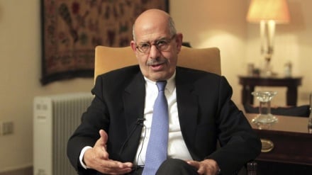 Elbaradei: Rencana Trump Penyerahan Diri, bukan Perdamaian