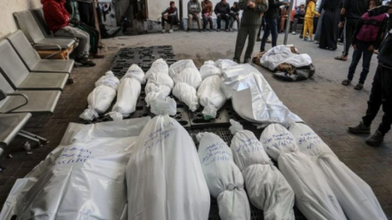 Gazze’de Şehit Sayısı 64.231’e Ulaştı  