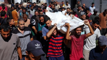 UN investigation committee: Israel has committed genocide in Gaza