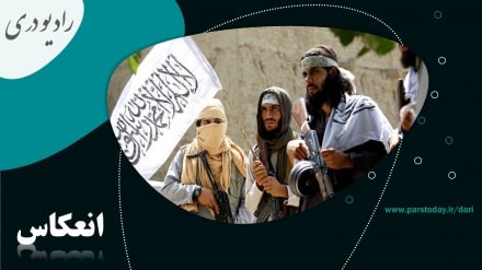 واکنش حکومت طالبان به افزایش حضور گروه های تروریستی در افغانستان 