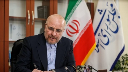Qalibaf: La via per fronteggiare il regime sionista passa attraverso un'azione coordinata e unita del mondo islamico