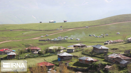 Hukuməti haftədə Əsalımi bələdiyyə 20 loyihə bə istismor rosney bıə