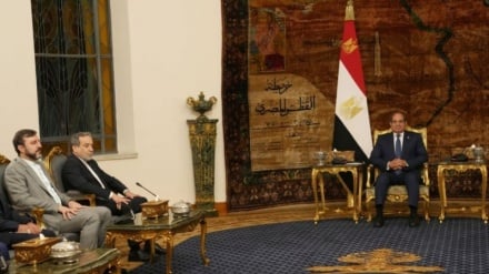 Araghchi Tekankan Perluasan Hubungan Bilateral dengan Mesir