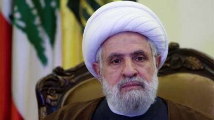 شیخ نعیم قاسم: حمایت ایران از فلسطین شاخص وحدت اسلامی است