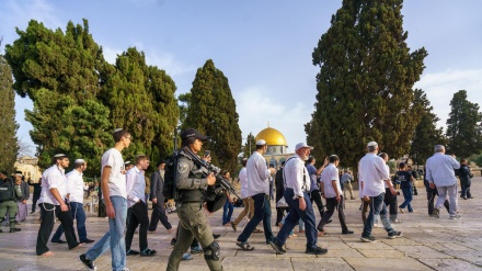 Des dizaines de colons sionistes envahissent la mosquée Al-Aqsa