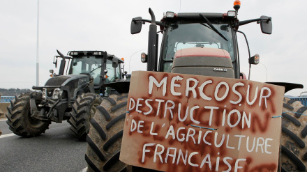 Manifestations des agriculteurs en France 