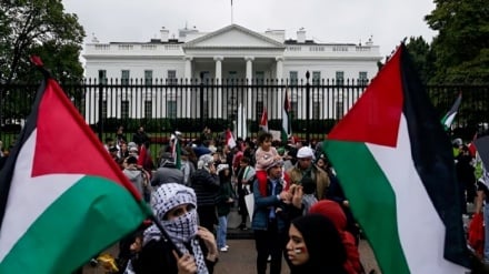 New York Times poll: American support for Israeli government has sharply declined