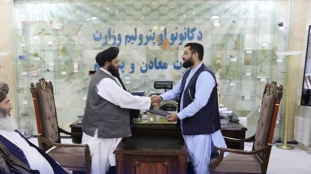 تفاهم‌نامه ساخت کارخانه فرآوری سرب و جست امضا شد