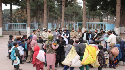 جمع‌آوری کودکان کار در هرات؛ ۳۰۰ کودک به مراکز بازپروری منتقل شدند