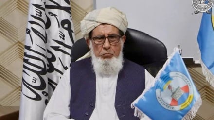 فاروق اعظم د طالبانو د مشر په امر نیول شوی