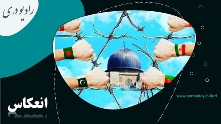 وحدت اسلامی مسئله راهبردی جهان اسلام 