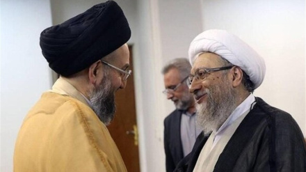 آملی‌لاریجانی در دیدار حکیم: پیوند میان ملت ایران و عراق خدشه‌ناپذیر است