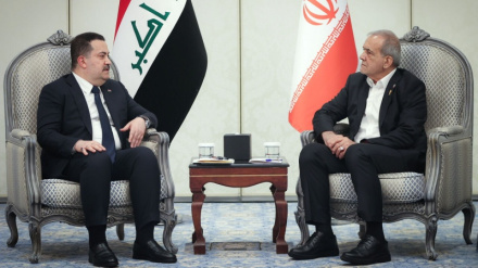 イラン大統領、イスラエルの犯罪阻止に向けたイスラム諸国の実践的な行動を強調