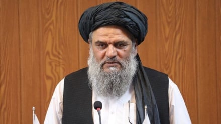 وزیر جدید فرهنگ طالبان انتشار تصاویر خودش را ممنوع کرد