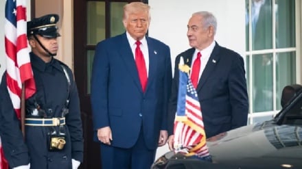 סקר בארה