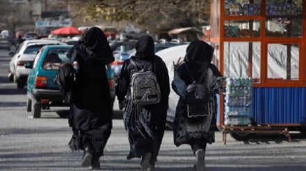 پاکستان بیش از چهار هزار دانشجوی افغانستانی را بورسیه می‌کند