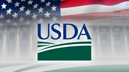 Ignoring millions in need: Trump administration drops hunger report