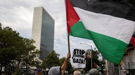 Thousands of Europeans take to the streets asking to end Israeli attacks on Gaza