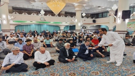 علمای شیعه و سنی بر عدالت و همبستگی امت اسلامی تأکید کردند