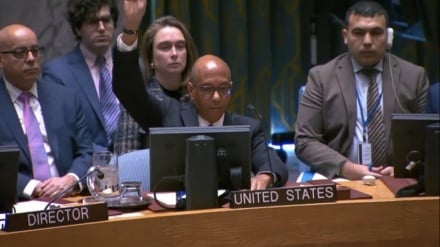 国际特赦组织：美国的否决是对加沙种族灭绝的“绿灯”