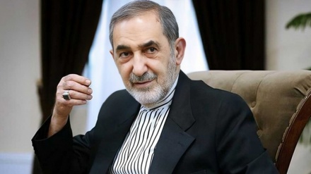 ولایتي: د شانګهای غونډه د نړۍ په تاریخ کې یو مهم ټکی و/ فرانسوي قانون جوړونکی: د اسرائیل جنایتونه به په تاریخ کې ثبت شي