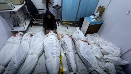 آمار افزایش شمار شهدای غزه 