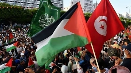 Comment le peuple africain perçoit-il les crimes du régime sioniste contre le Yémen et Gaza ?