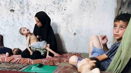 Come il Consiglio per i Diritti Umani dell'ONU è arrivato alle conclusioni che a Gaza è in corso un genocidio?