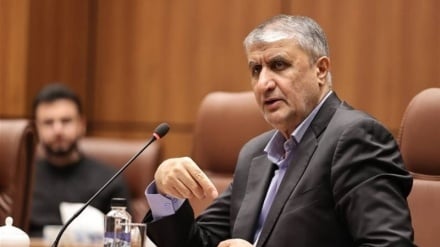 אסלאמי: התעשייה הגרעינית היא סמל להצלחה מדעית וטכנולוגית של איראן