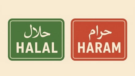 حرام در دین اسلام یعنی چه؟