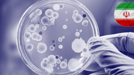 Bilim | İran Sanayinde Nano Atılımı; Geniş Kullanım Alanlarına Sahip Nanomalzemelerin Seri Üretimi / Kanserde Kalıcı Bağışıklığın Sırrı Keşfedildi