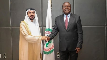 Mabunge ya Kiarabu na Kiafrika yakosoa kimya cha jamii ya kimataifa kwa jinai za utawala wa Kizayuni