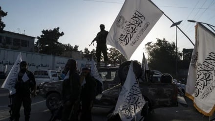 طالبانو د دین په تحریفولو سره جنسیتي اپارټایډ ۤپر سیاسي وسیلې بدل کړی دی