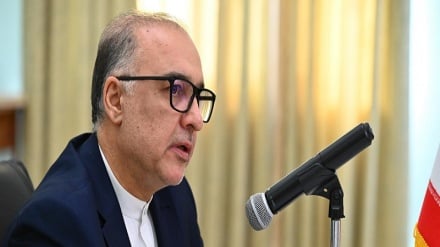 Հայաստանի և Իրանի միջև պայմանավորվածություն կա Չաբահարից Հայաստան, ապա Սև ծով տանող ուղին գործարկելու հարցում