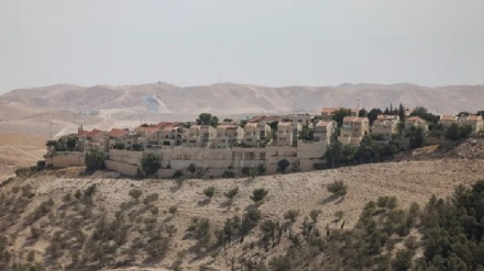 80 ארגונים קוראים להפסיק את הסחר עם ההתנחלויות הישראליות בגדה המערבית